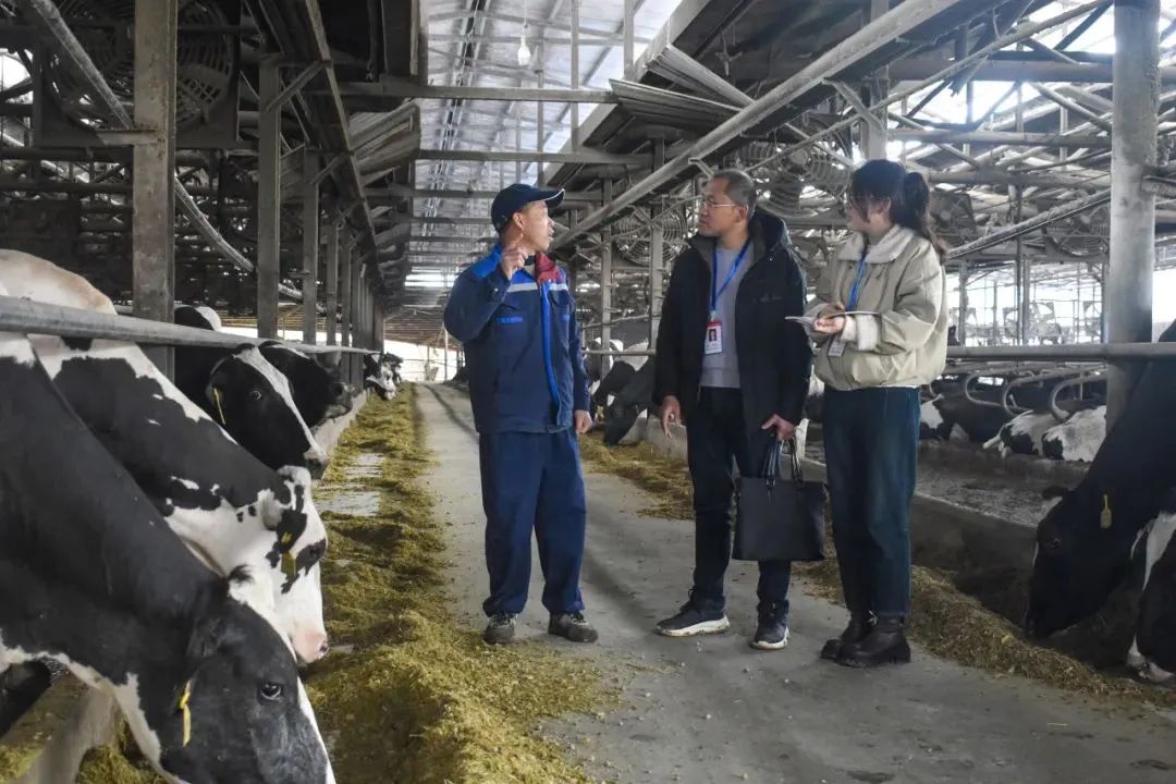 聚焦全會?學(xué)習(xí)貫徹丨南平：一以貫之推進全面從嚴(yán)治黨 為奮力推進 中國式現(xiàn)代化南平實踐清障護航